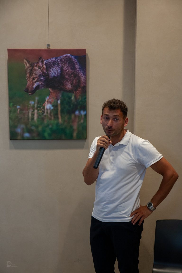 Umbra Muntilor – Arthur Lonay